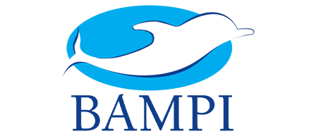 Bampi